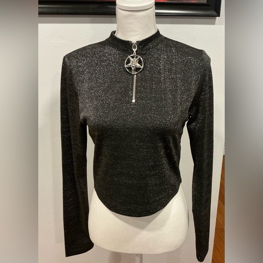 Shimmer Silver Cropped Blouse